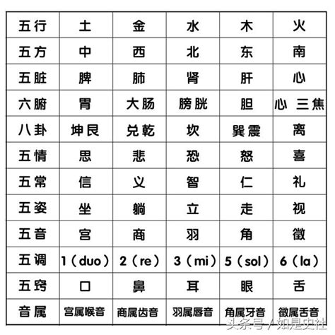 羽屬金|什麼是「宮、商、角、徵、羽」